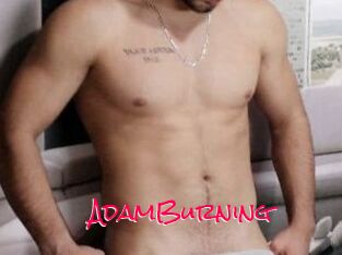 AdamBurning