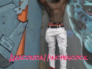 Anaconda11inchescock