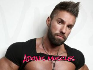Adonis_muscles