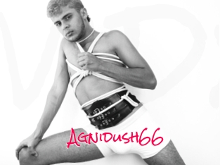 Agnidush66