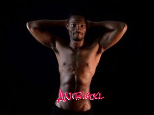 Anibigxl