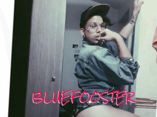 BLUEFOOSTER