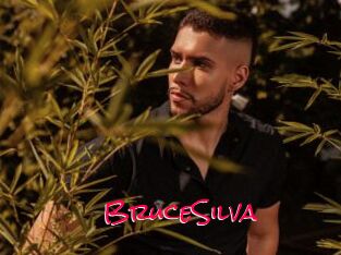 BruceSilva