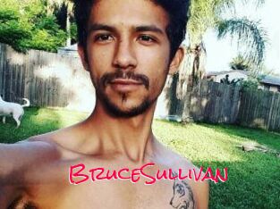 Bruce_Sullivan