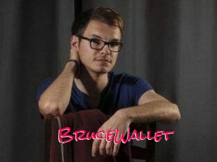 BruceWallet