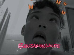 Benjaminwilde