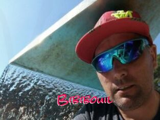 Bibibouil