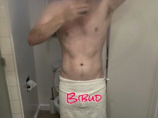 Bibud