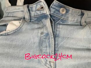 Bigcock24cm