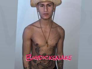 Bigdicksnake