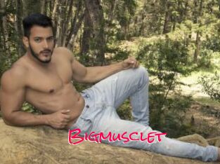 Bigmusclet
