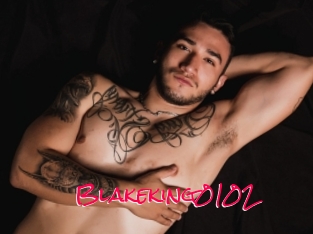 Blakeking0102