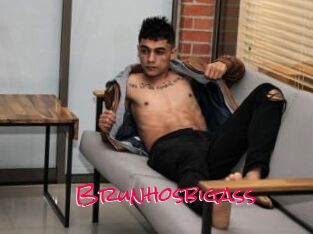 Brunhosbigass