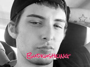 Budkushking