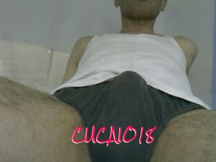 CUCAIO18