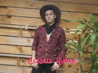 Conall_Hawk