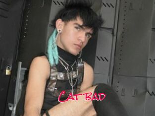 Cat_bad