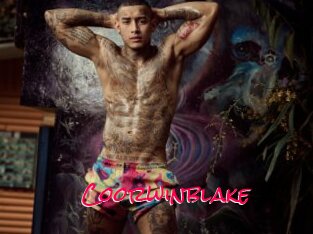 Coorwinblake