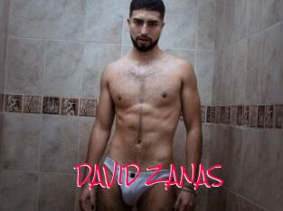 DAVID_ZANAS