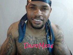 David_Maze
