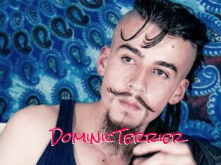 DominicTerrier