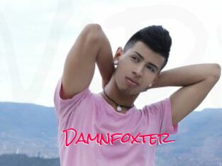 Damnfoxter