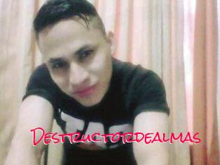 Destructordealmas