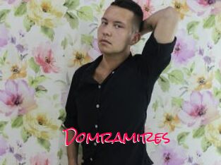 Domramires