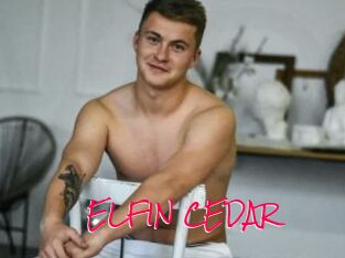 ELFIN_CEDAR