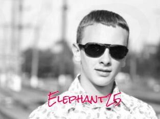 Elephant25