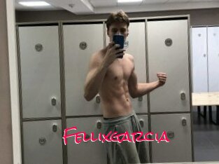 Fellixgarcia