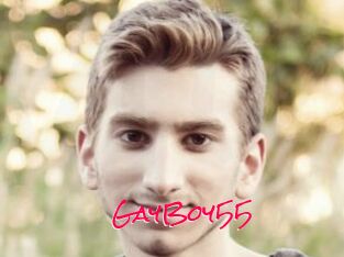 GayBoy55