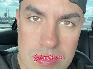 Gatoccc