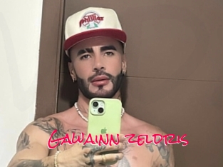 Gawainn_zeldris
