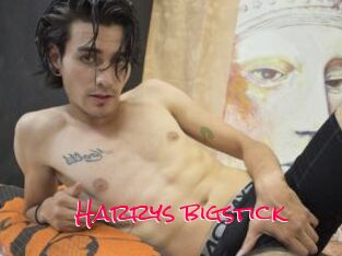 Harrys_bigstick