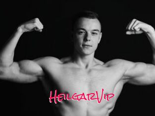 HeilgarVip