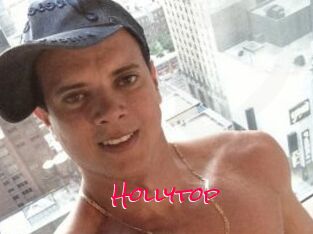 Hollytop