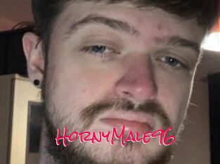 HornyMale96