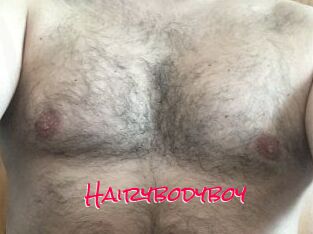 Hairybodyboy