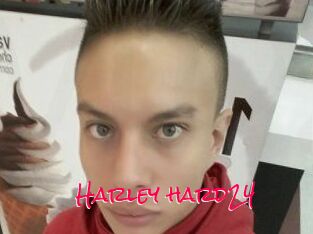 Harley_hard24