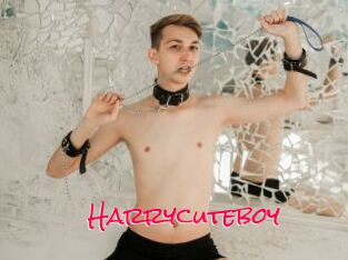 Harrycuteboy