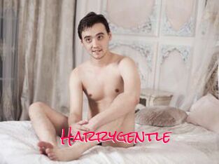 Harrygentle