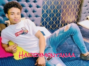 Harrymontanaa