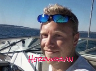 Herouxgavin