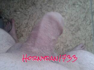 Hornydan1733