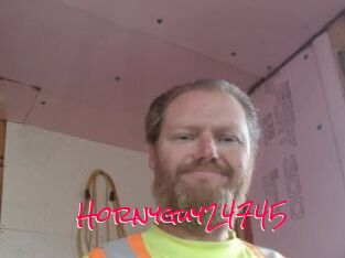 Hornyguy24745