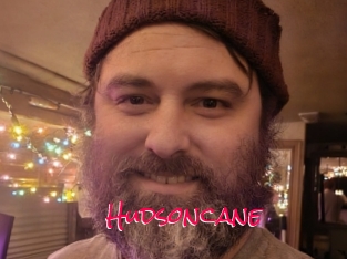 Hudsoncane