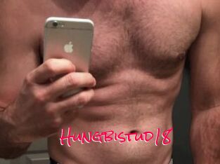 Hungbistud18