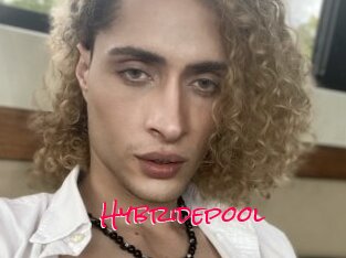 Hybridepool