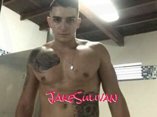 Jake_Sulivan
